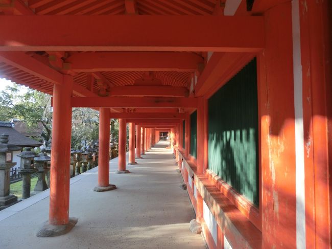 一眼レフで何枚も写真を撮っている方がいました