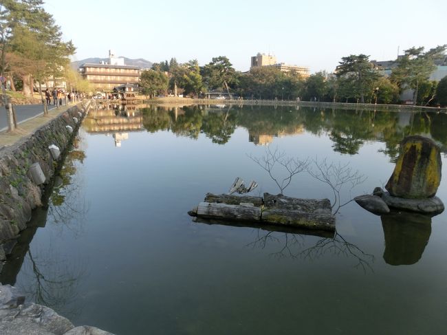 猿沢の池です。<br /><br />国語の教科書に出てきたことだけはよく覚えてます<br />修学旅行で来たときも、あぁこれがあの猿沢の池！と思い出したのを<br />よく覚えてます。<br />何の変哲もない普通の池に見えますがw