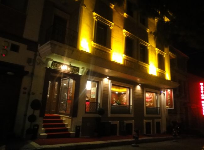 22:30 イスタンブールのフェルマンホテルに到着。<br />この辺りは小さめのホテルが沢山ある、自力で来るとホテル探しに迷いそうだったので、少し高かったがホテルに空港までのお迎えを頼んだ。昨夜成田を出発し、カッパドキア日帰り観光した我々にはホテルの場所探しでウロウロする体力は残ってないだろうと予測した。これが正解であった。