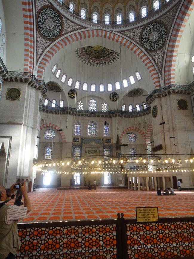 空いていてゆっくり見学できた。