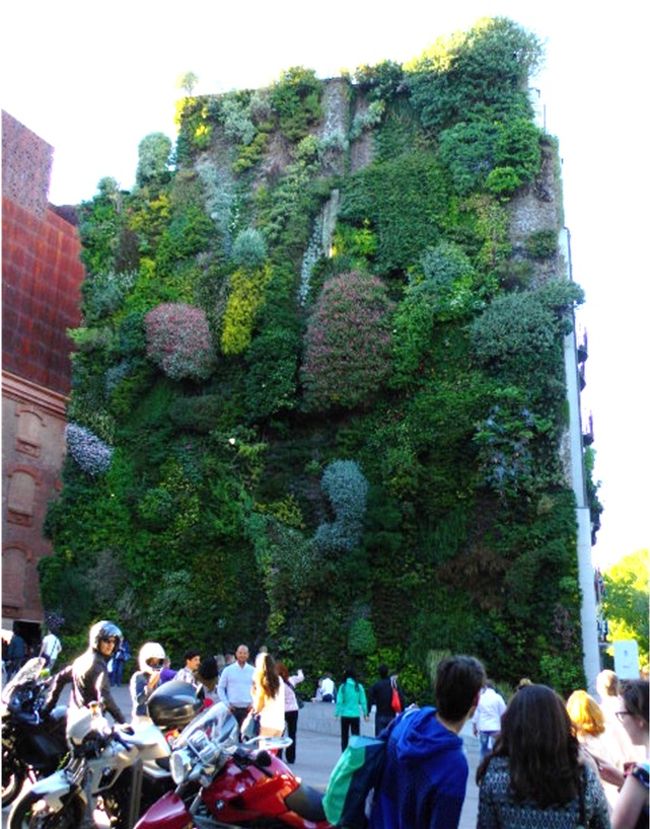 国立ソフィア王妃芸術センター横の建物では、PIXARのアニメーションの催し物があっていて、沢山の若い人が入場の列を作っていました。<br /><br />その横のビルの壁は、いろんな種類の植物で覆われていました。<br />これもアントニオ・ロペス・ガルシアの作品のようでした。