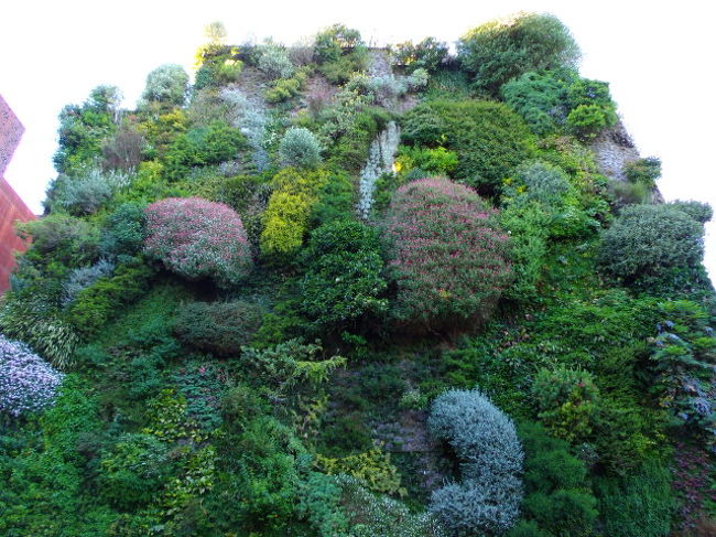 ビルの壁は、いろんな種類の植物で覆われていました。