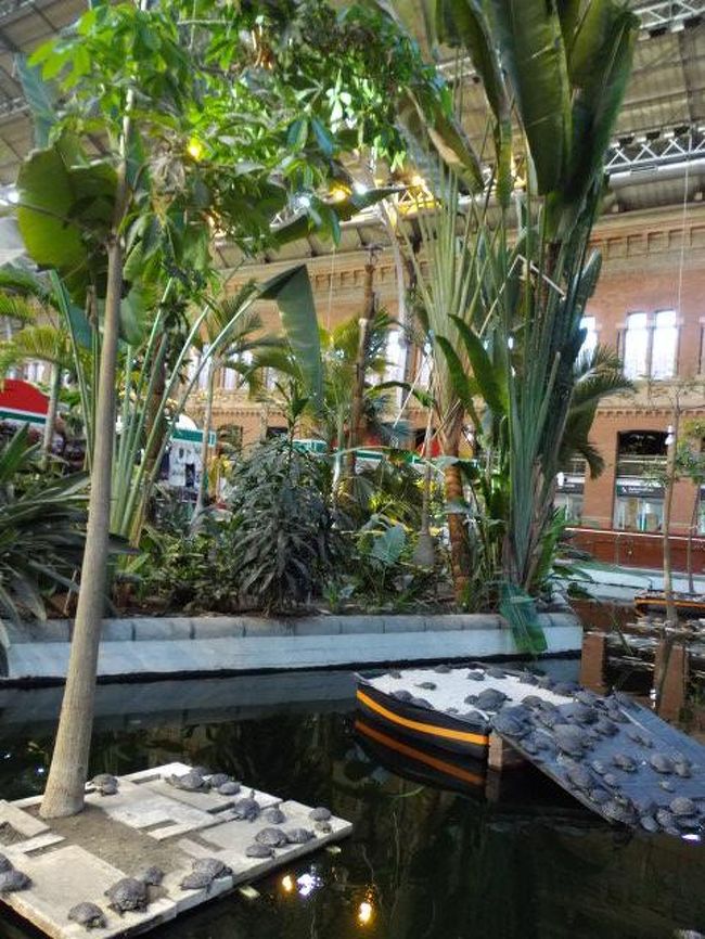 空港までの明日のバスが朝早いので、バス乗り場や時間を確認するためにアトーチャ駅へ。<br />構内の池にはカメがいっぱいいました。