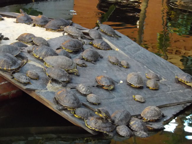 すごい数です。