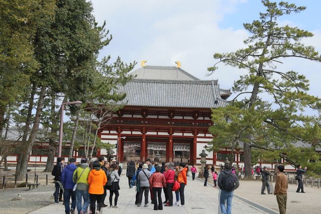 氷室神社からの帰り<br />写っているのは東大寺か？