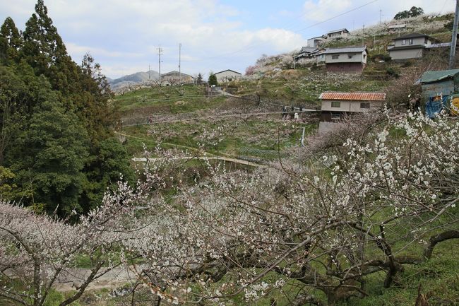 お年寄りの方には