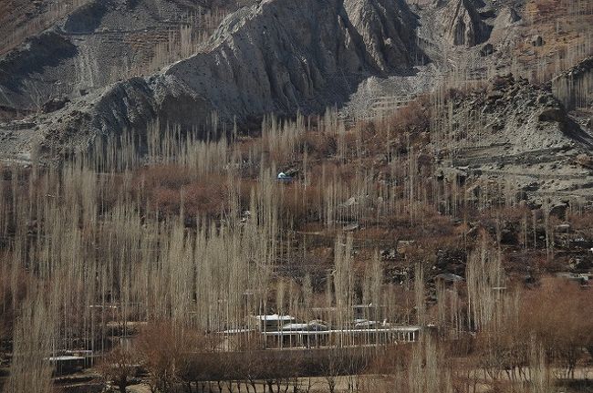 ぽつんと建つモスクのドームの緑に心打たれる。<br />これがピンクの花に囲まれたら絶景でしょう！