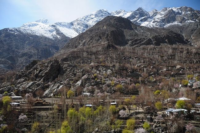 行きより少し花が咲いたかな？