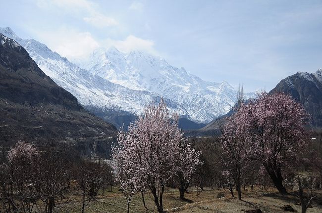 ラカポシも綺麗に見えた。
