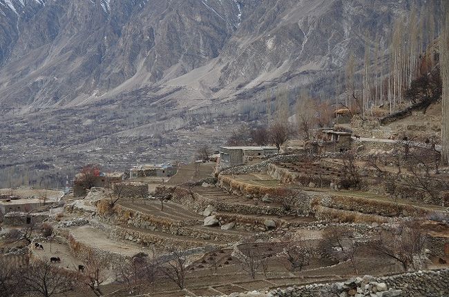 スカルドを出発して約８時間。ようやくフンザへ到着。<br />ここでもアーモンドの花は咲き始めてた。