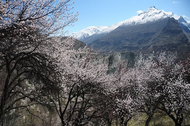 3月21日はノウルーズ、イスラム歴の新年。<br /><br />フンザ地方の子供と女性はこの日みんな服を新調する。<br />静かな村はこの日はすごい人出<br /><br />