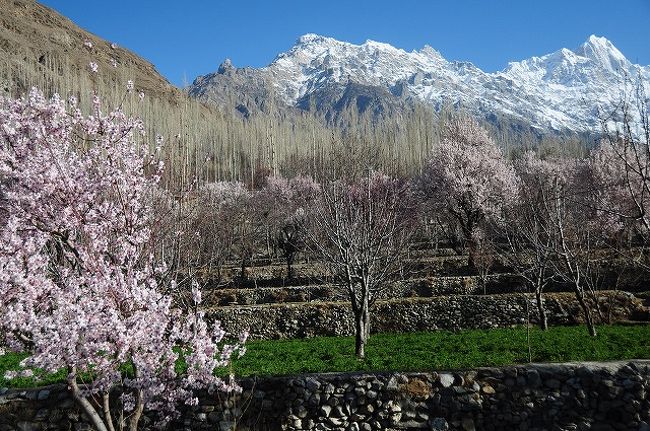 ウルタルをバックに。