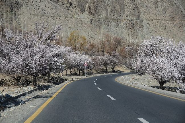 お花のトンネルを抜けて