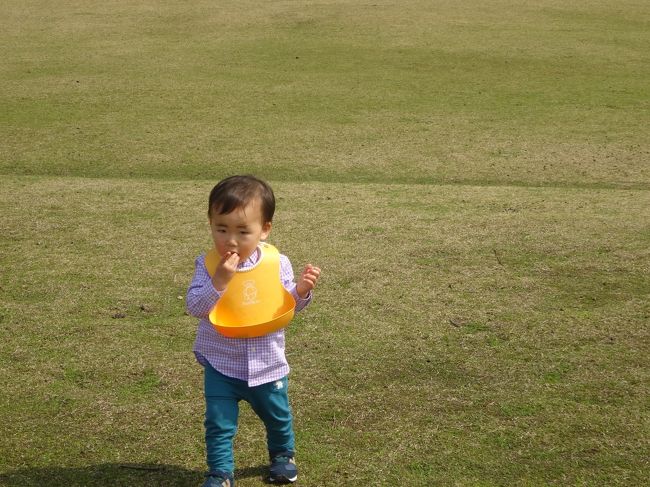お弁当もぐもぐしながらもぶらぶら<br />大きな公園なので気兼ねなく遊べます