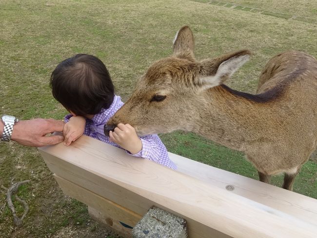 匂いに敏感な鹿がべべちゃまをめがけて。。。