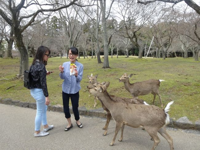 次はおせんべいをもっている娘たちに寄ってきました