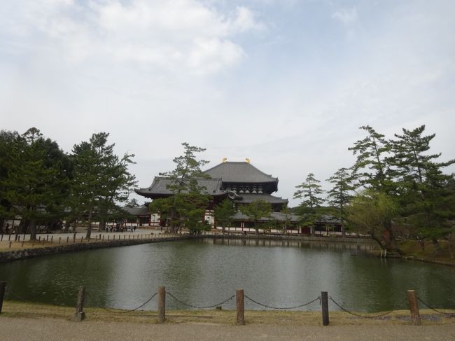 東大寺まで歩きます