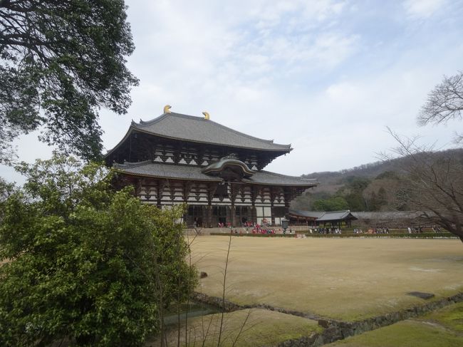 東大寺<br />何年ぶりかに参拝しました