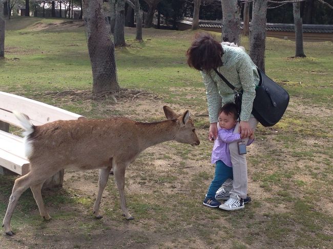 苺の匂いがプンプンのべべちゃま<br />最後まで狙われていました＾＾