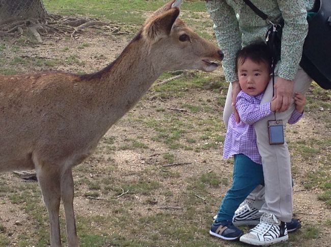 しがみつかれるとますますかわいいですねー。