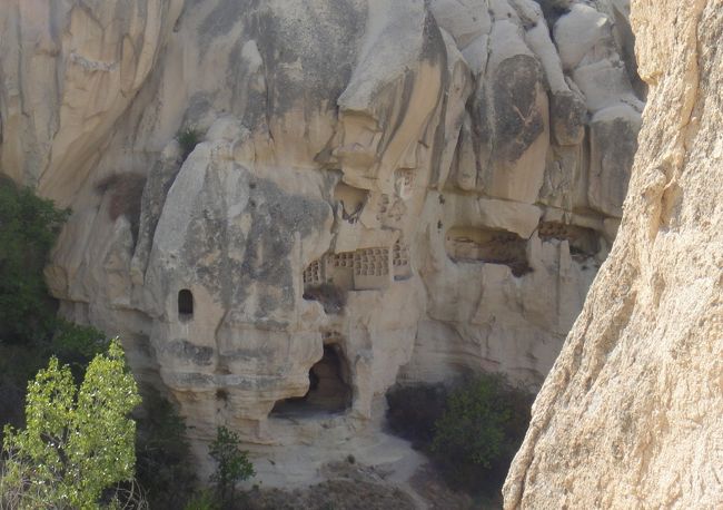 真ん中あたりに鳩の入る部屋がキレイに並んでいる。