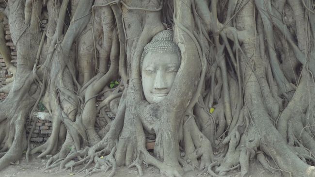 ワット プラ マハタート