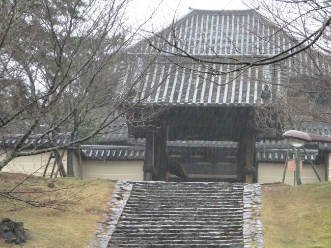 グーグル先生に頼って歩いていくと、裏？に到着。<br />グーグル先生のおかげで助かる部分もたくさんあるのですが、これ、細かく設定しないとほんとに変なところから入る羽目になってしまう・・・<br />っていうことが何回か。<br />今回は東大寺寺務所に設定してしまったから違うところに出たのかと思われます。<br />