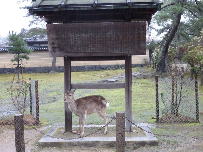 雨宿り中です。