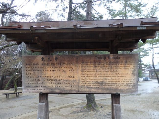 朝は早く起きて、JR奈良へ荷物を置きに。<br />昨日の時点で疲れていたので、JRから近鉄まではバスを使いました。<br />この日は朝から雨で、びしょ濡れに。