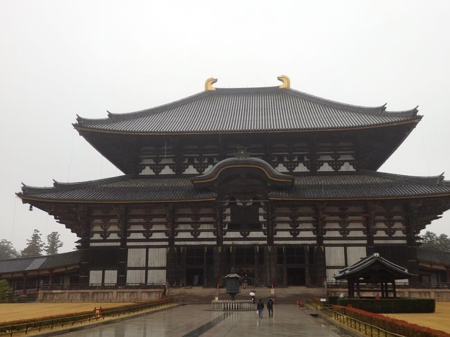 大仏殿までの道いいですよね！<br />