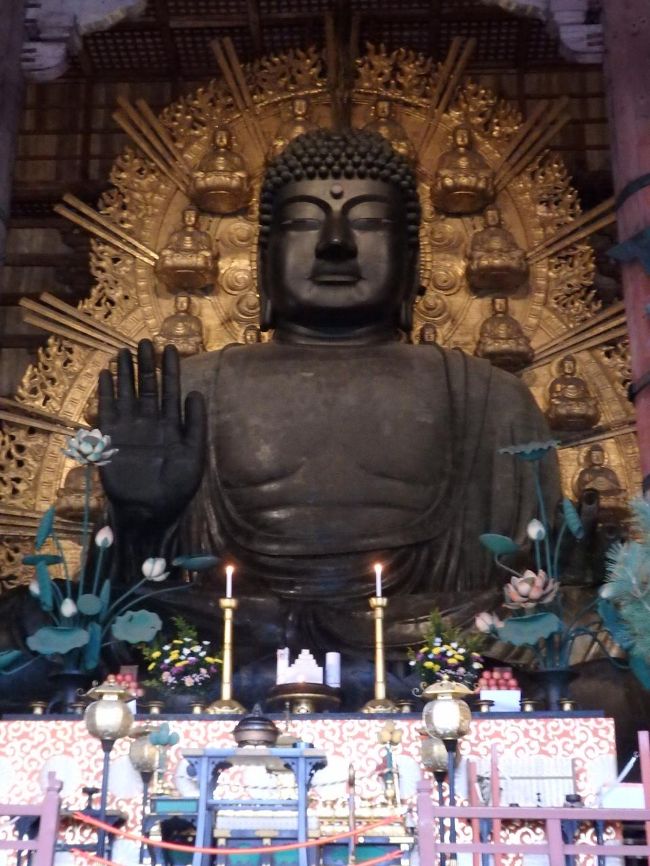 聖武天皇は、人々が思いやりの心でつながり、こどもたちの命が次世代に輝くことを真剣に考えられ、動物も植物もともに栄えることを願い、さらに造像にあたっては、広く国民に「一枝の草、ひとにぎりの土」の助援を呼び掛けられました。<br /><br />っとパンフレットにあるとおり、やっぱりあるのは思いやりの心なんですねぇ。<br /><br />やはり大きくて、おぉぉぉ、と思ってしまいます。<br />THE　奈良　っていうイメージですよね。<br />この大仏様は盧舎那仏、つまり釈迦如来ですね。<br />左手で宇宙の智慧を、右手に慈悲を表しながら、人々が思いやりの心でつながり、絆を深めることを願っていらっしゃるそうです。<br /><br />このお堂は江戸時代につくあれたとのことで、それまでは雨ざらしになっていたとのこと。<br />それにしても、こうやってみると大きくて圧倒されますよね。<br />さすが奈良！