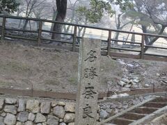 さて、奈良公園につきました。
奈良公園から、春日大社に行きますよー