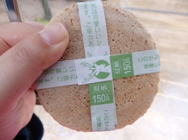 鹿せんべいどうしようか迷った挙句、結局２個も買ってはぐれ鹿たちにあげました。
