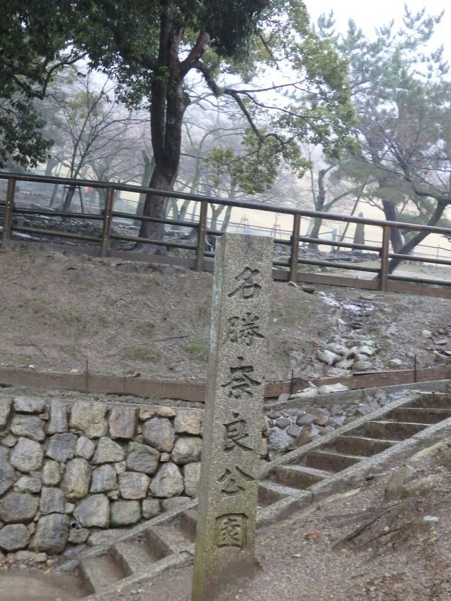 さて、奈良公園につきました。<br />奈良公園から、春日大社に行きますよー