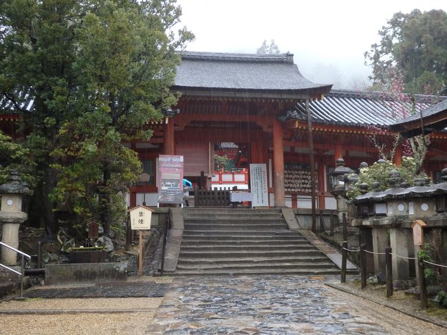 雨です。ほんとに雨です。<br />また正門から入らずに裏から入った模様。<br />ほんとにね、まったくね。