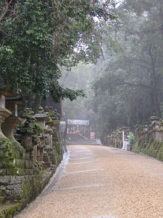 雨の参道も悪くないのです。