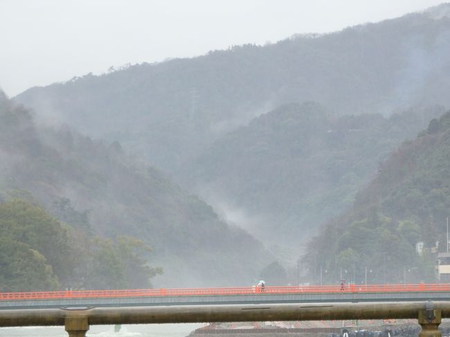 雨も上がってきてきれい。