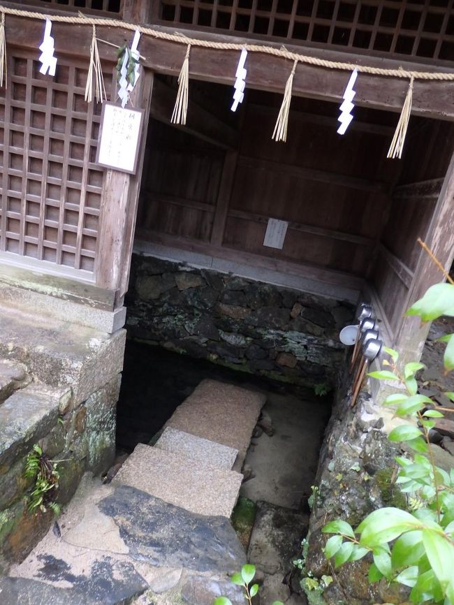 手水舎はこんな感じ。<br />ちなみに、宇治七名水のうち唯一現存しているとのことです。