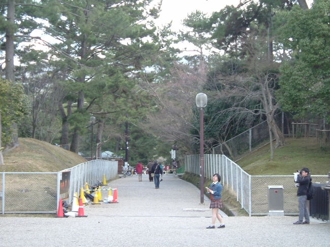 奈良公園内<br /><br />五重塔と東金堂の間の道を春日大社の方に向かいまっすぐ歩いて行きます。