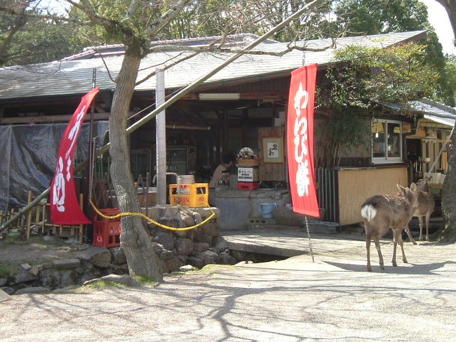 奈良公園内<br /><br />茶店風景。