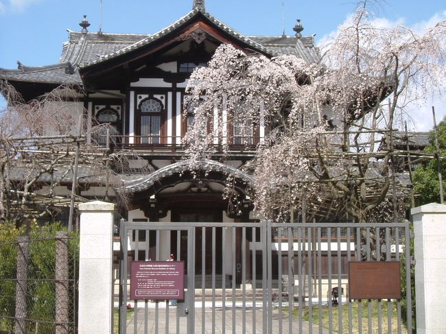 奈良公園内<br /><br />奈良国立博物館　仏教美術資料研究センターです。建物と満開の梅に吸い寄せられ、写真を撮りました。