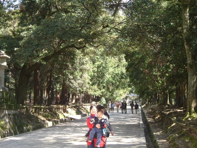 奈良公園内<br /><br />春日大社の参道。