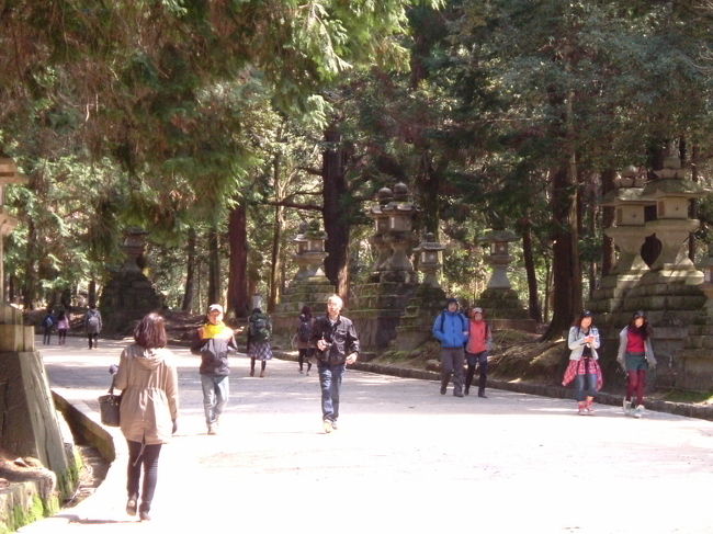 奈良公園内<br /><br />春日大社の参道。