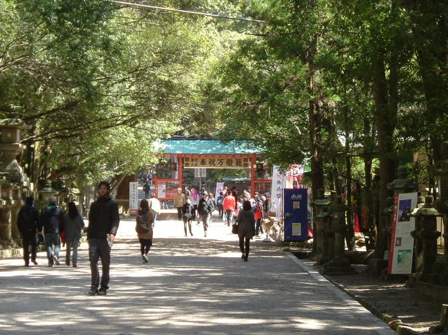 奈良公園内<br /><br />二の鳥居が見えますが、その手前で、右手に折れ、新薬師寺を目指します。