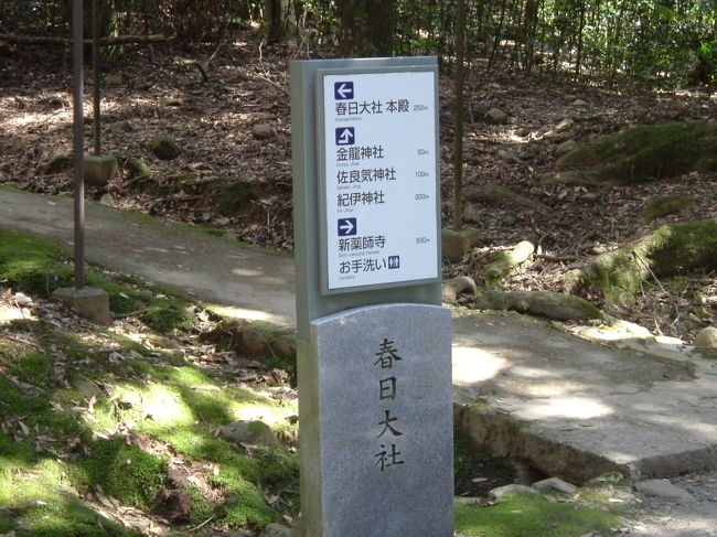 春日山原始林内の案内板