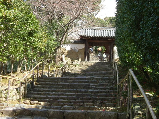 白毫寺<br /><br />がっかりしました？壁が剥がれてみすぼらしいですが、侘び・さびの世界だと思ってください。<br /><br />椿や萩などの花の寺としても有名な古刹です。この寺から奈良市街が一望できますが、見事です。<br /><br />都会の喧騒から隔離された、ひっそりとした境内は心を和ませてくれます。