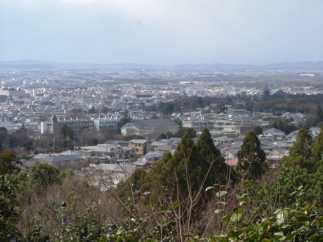 白毫寺<br /><br />写真の右に見える塔は、興福寺の五重塔です。