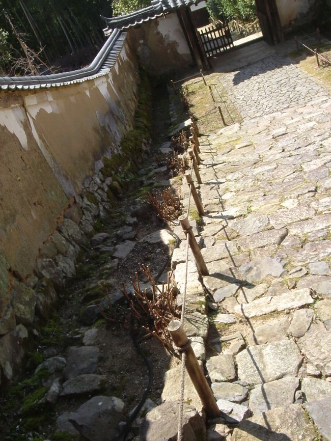 白毫寺<br /><br />萩が株元から切られていますが、秋には見事な花を咲かせます。<br /><br />恐らく志貴皇子が愛でたであろう、眼下に広がった奈良市街の風景を眼に焼きつけ、白毫寺を後にし、彼が眠る田原西陵に向かいます。