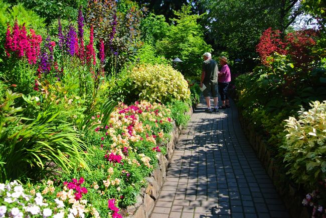 花と老夫婦。<br /><br />癒されますね。<br /><br />