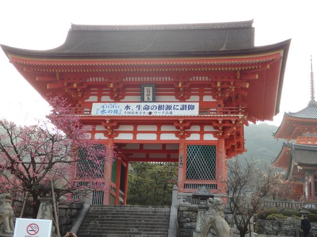 テンションが上がりますね。<br />仁王門です。